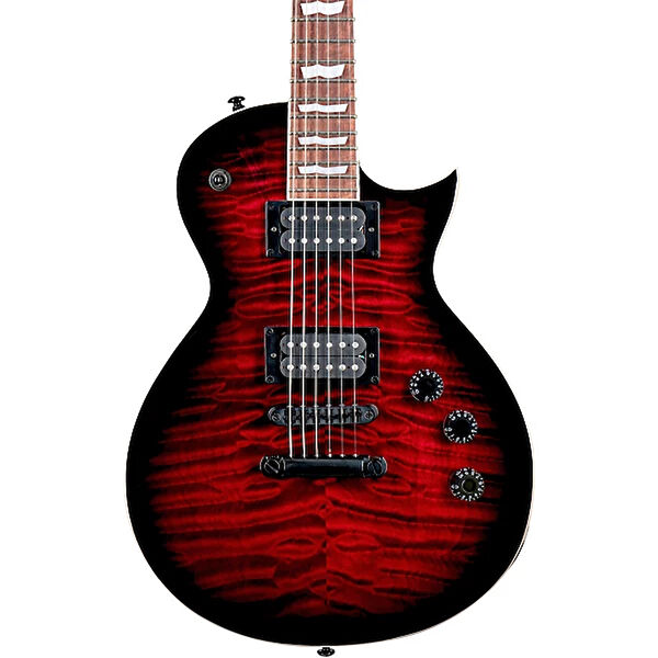 ESP LTD Gitar