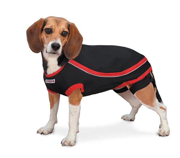Kong Köpek Elbisesi
