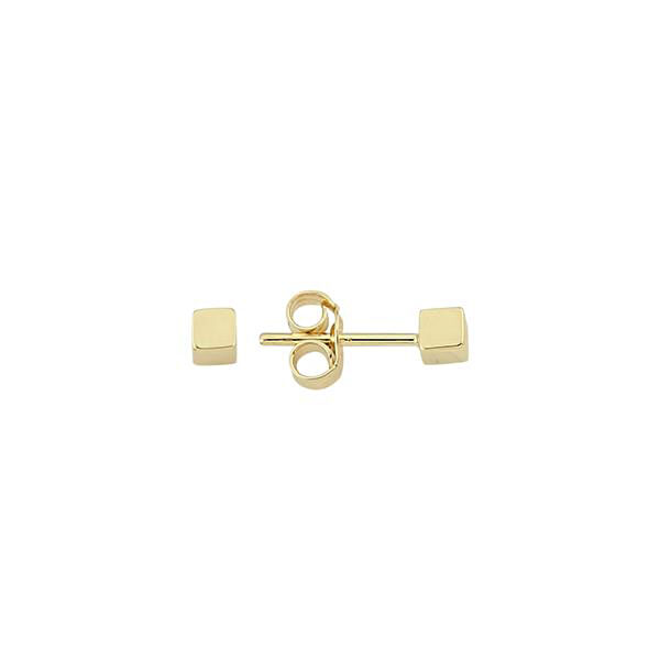 Pirnus Diamond Altın Küpe