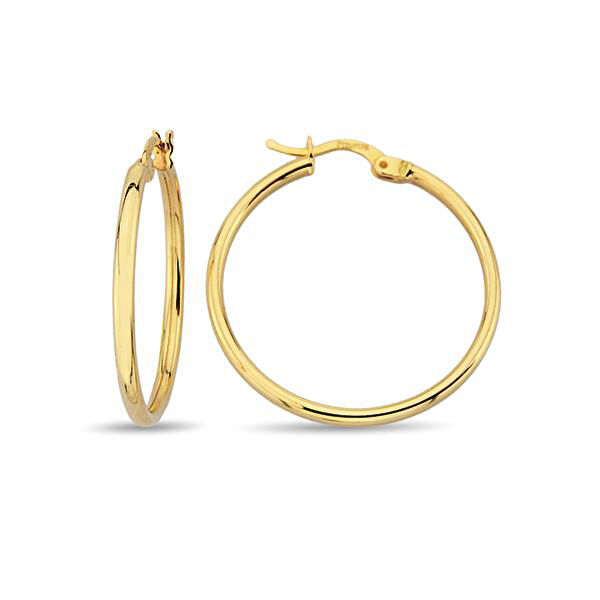 Pirnus Diamond Altın Küpe