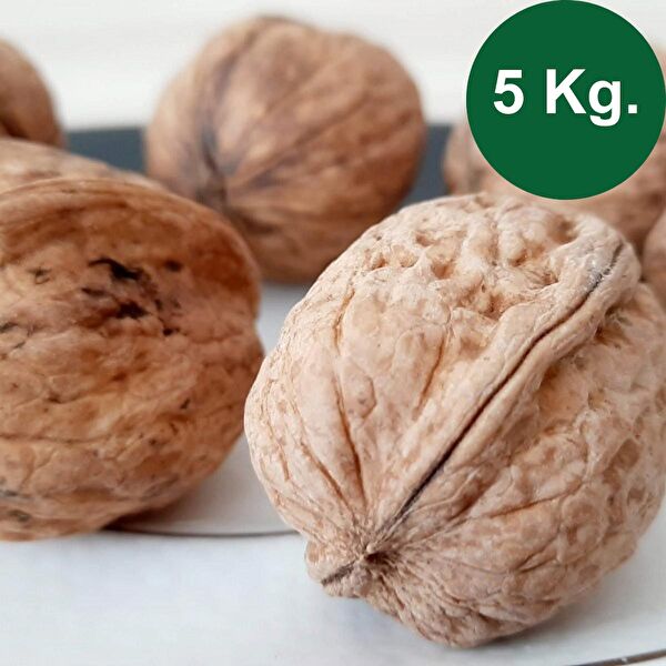 Fıstık Yeşili Ceviz