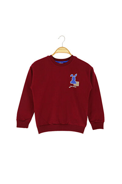 crassi Erkek Çocuk Sweatshirt