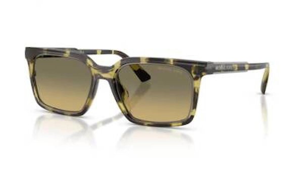 Michael Kors Erkek Güneş Gözlüğü