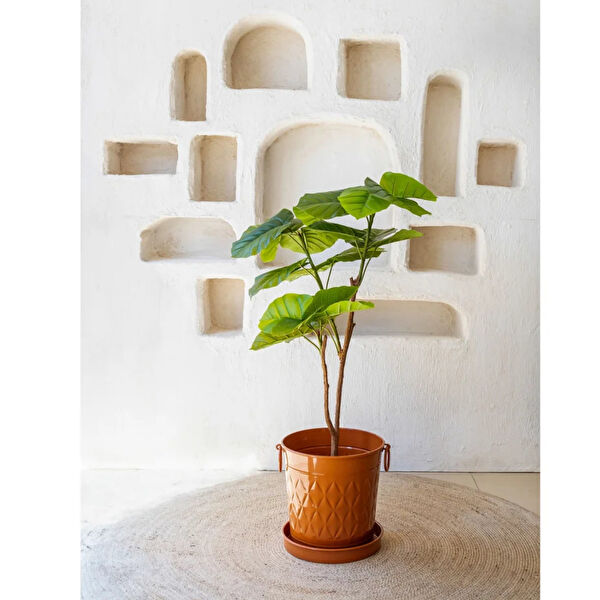 Reyo Yapay Çiçek, Meyve