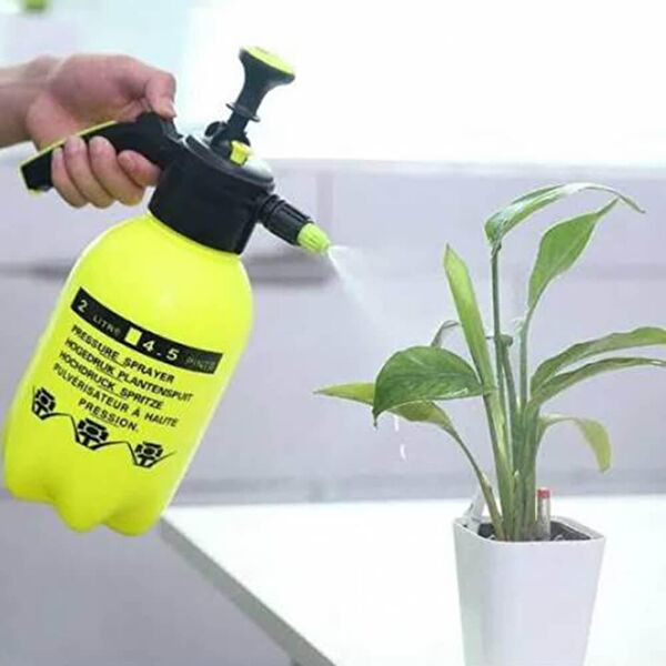 Piev Teraryum, Teraryum Aksesuarları