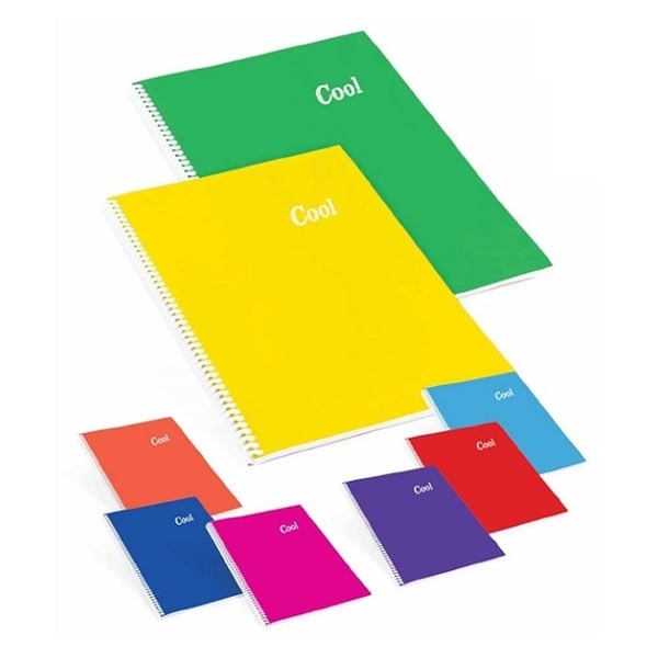 Keskin Color Defter, Ajanda