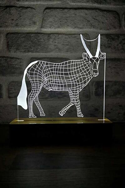 By-Lamp Masa Lambası