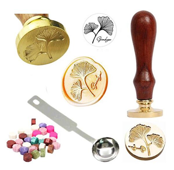 Profisher Eğitici Oyuncaklar