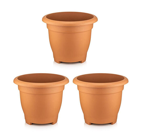 Omnipazar Vazo, Saksı