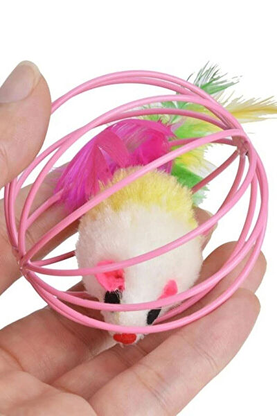 Soi Home Kedi Oyuncakları