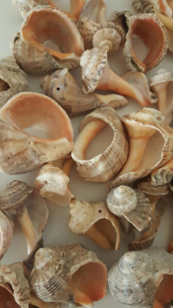 emilysamy Dekoratif Obje, Biblo, Figür