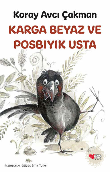 Can Çocuk Çocuk Roman ve Klasikleri