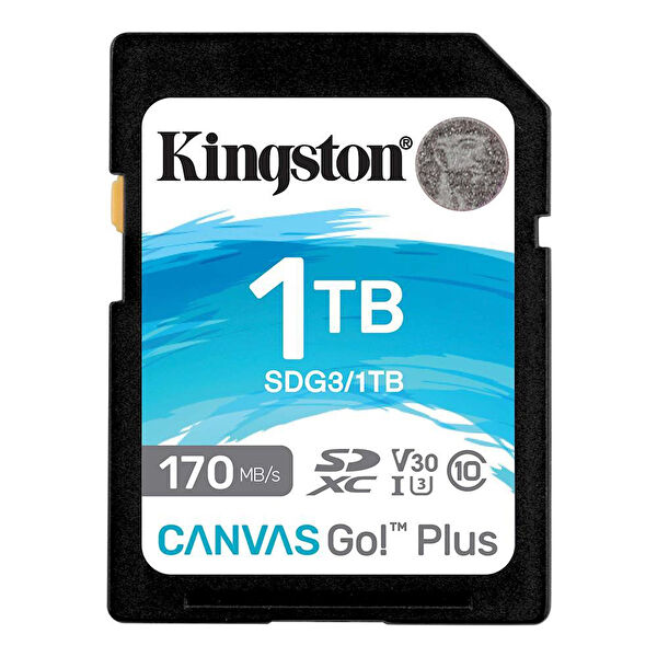 Kingston Hafıza Kartı, Micro SD