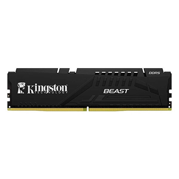 Kingston Ram, Bellek