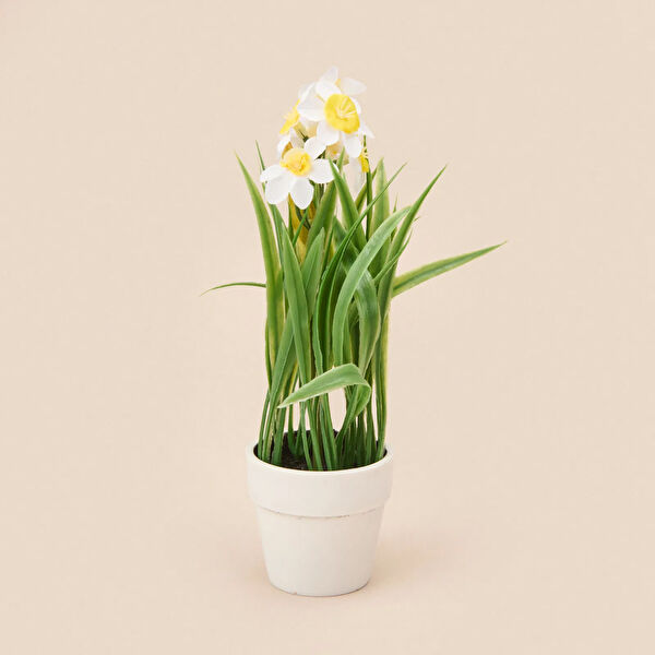 Kpm Yapay Çiçek, Meyve