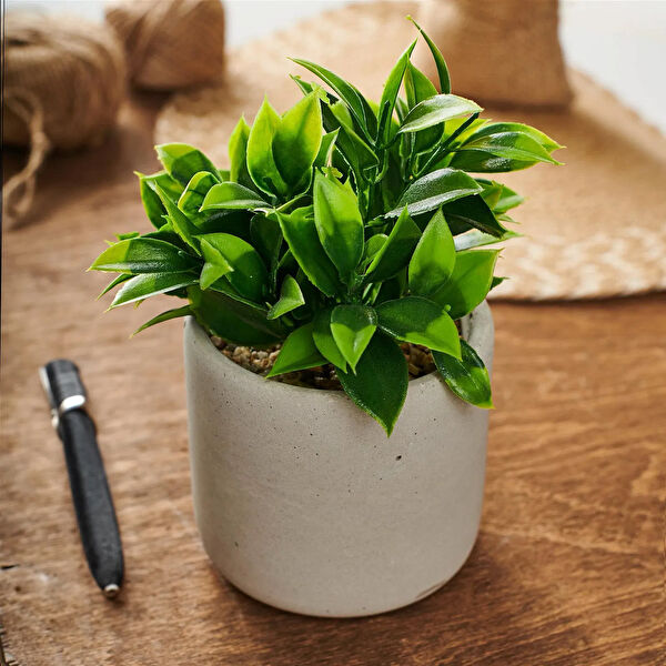 Objevi Yapay Çiçek, Meyve