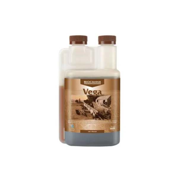 Canna Bitki Vitamini, Besini