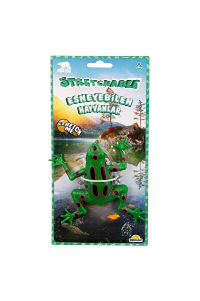 Crazoo Eğitici Oyuncaklar