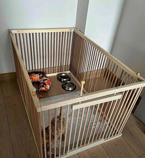 Reyo Köpek Kafesi, Aksesuarları