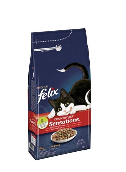 Purina Kedi Maması