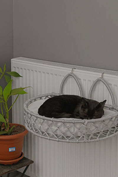 Reyo Kedi Yatağı