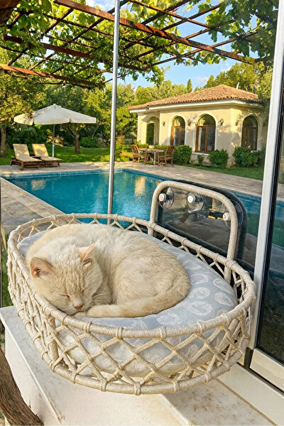Reyo Kedi Yatağı