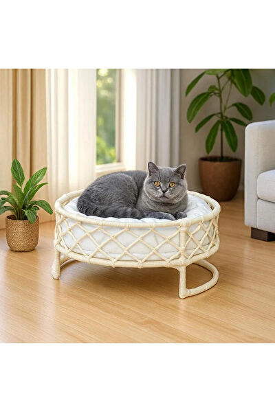 Reyo Kedi Yatağı
