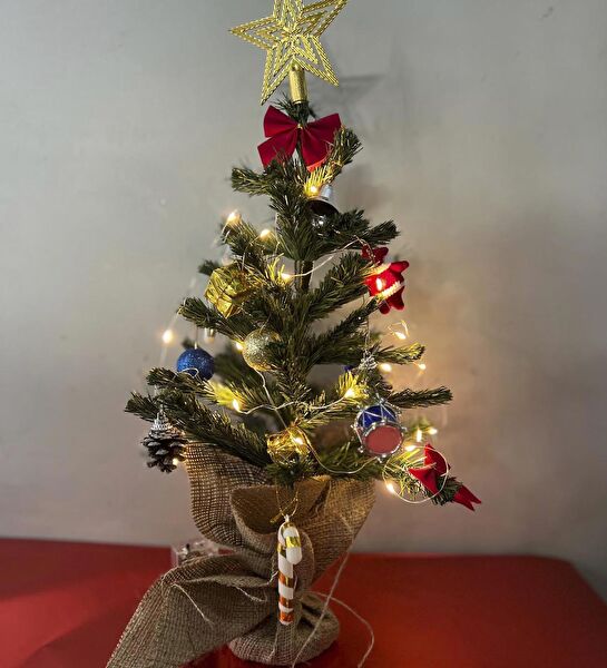 SOLE Yılbaşı Ağacı