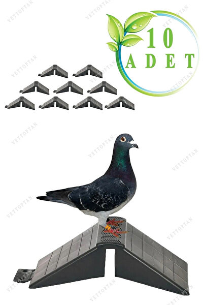 Genel Kuş Tünekleri