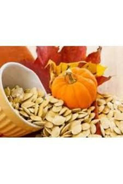 Serdar Çam Tohumculuk Tohum