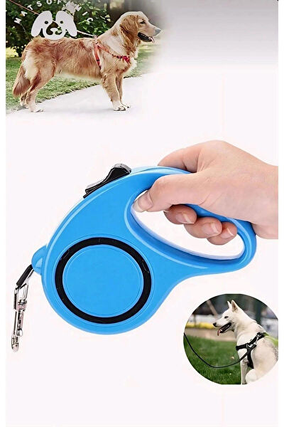 CARNIVAL LAND Köpek Tasmaları