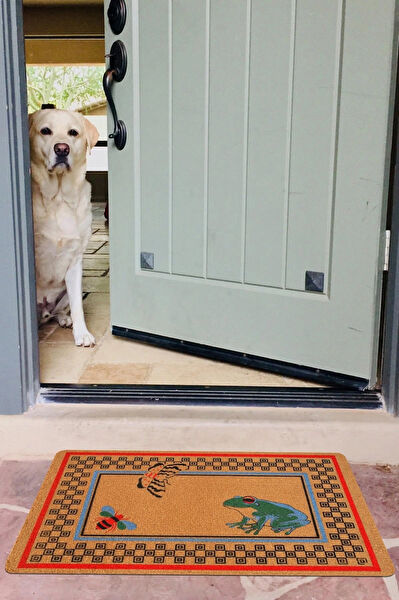 Karmat Paspas Paspas