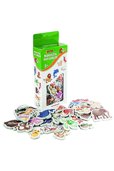 SCNTOYS Eğitici Oyuncaklar