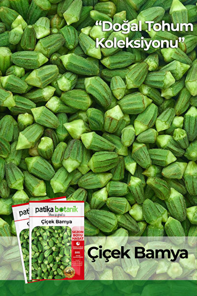 Patika Botanik Tohum