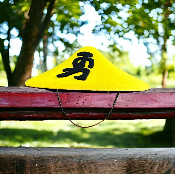 Kuzey Oyuncak Kostüm