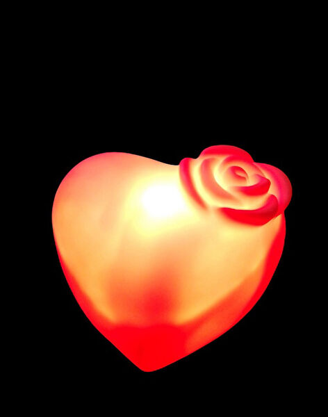 Kuzey Oyuncak Yılbaşı Süsleri