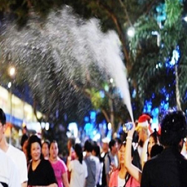 Kuzey Oyuncak Yılbaşı Süsleri