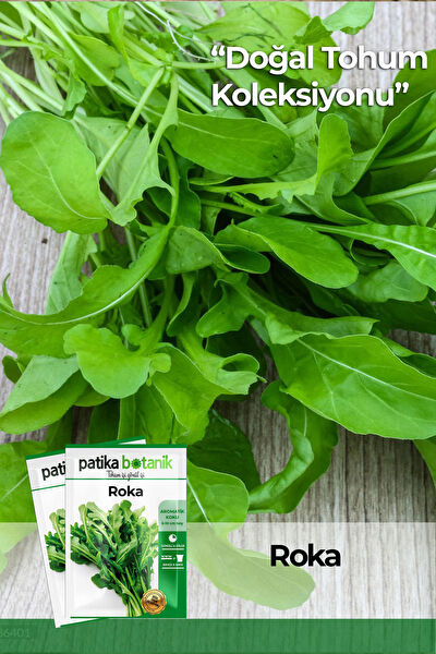 Patika Botanik Tohum
