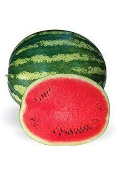 Serdar Çam Tohumculuk Tohum