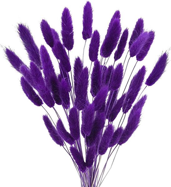 Nettenevime Yapay Çiçek, Meyve