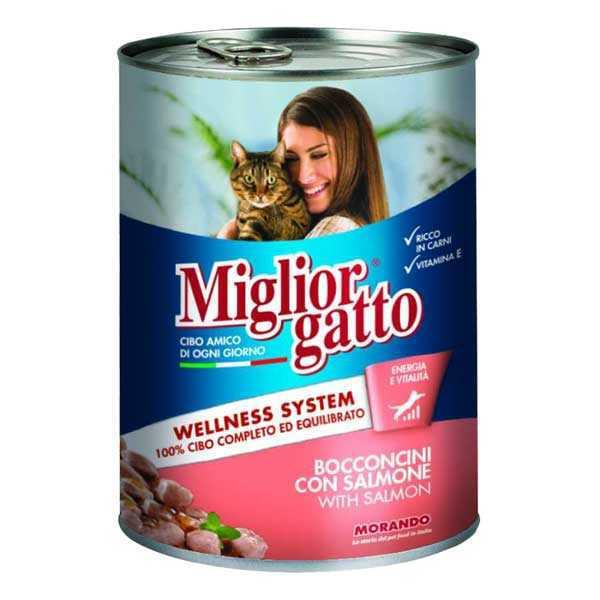 Miglior Gatto Kedi Maması