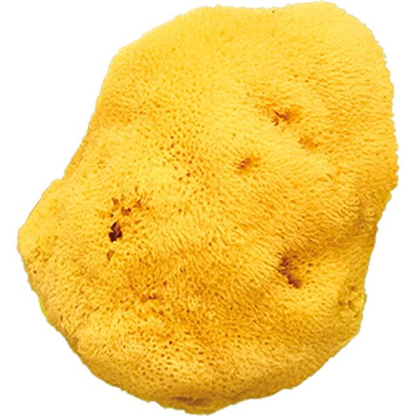 OkBaby Bebek Banyo Aksesuarları