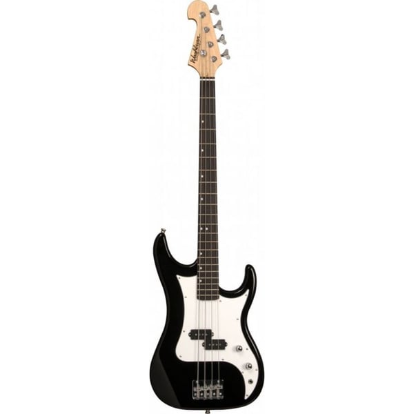 Washburn Gitar
