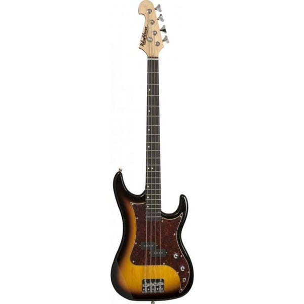 Washburn Gitar