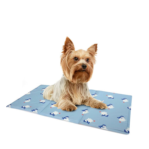 Camon Köpek Yatağı