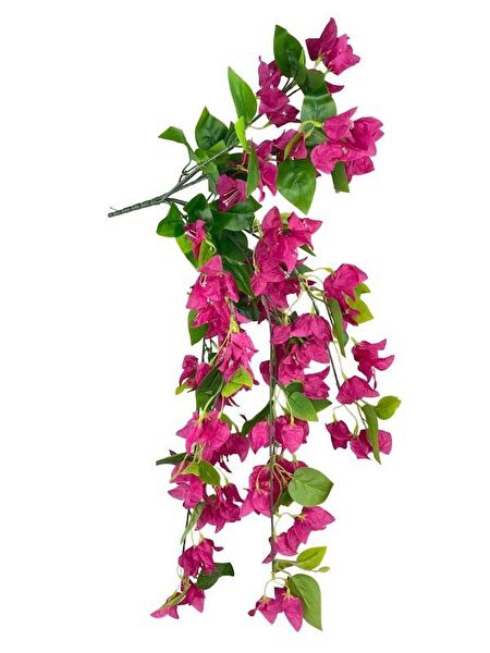 Nettenevime Yapay Çiçek, Meyve