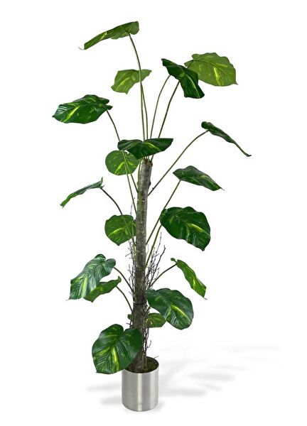 Nettenevime Yapay Çiçek, Meyve