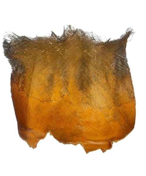 Nettenevime Yapay Çiçek, Meyve