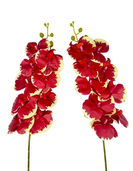 Nettenevime Yapay Çiçek, Meyve