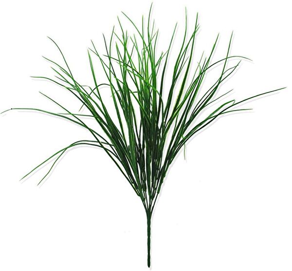 Nettenevime Yapay Çiçek, Meyve